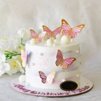 Butterfly Birthday Cake