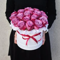 20 Pink Roses In Box